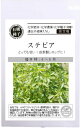 有機種子 固定種 ステビア 種 6粒 ハーブ 種子 オーガニック グリーンフィールドプロ