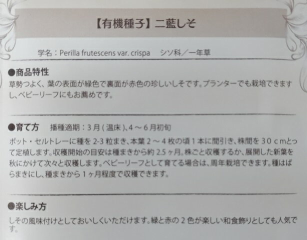 有機種子 固定種 二藍（ふたあい）しそ / 紫蘇 シソ 1g 種 ハーブ 種子 オーガニッ...