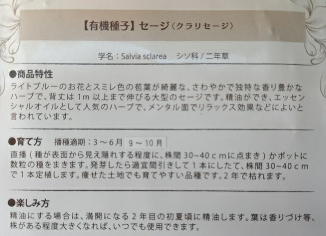 有機種子 固定種 セージ クラリセージ 80粒 種 ハーブ 種子 オーガニック グリーン...