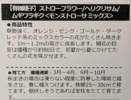 有機種子 固定種 ストローフラワー ヘリクリサム ムギワラギク モンストローサ ミ...