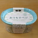 スプラウト栽培専用容器 おうちでベジ ターコイズブルー スプラウト容器 スプラウト栽培容器 おうち時間 免疫力UP スプラウト 発芽野菜 マイクログリーン 栽培...