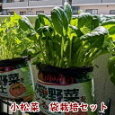 誠に申し訳ございませんが、沖縄、離島は別途、追加送料がかかりますので、ご了承くださいませ。 一個口ごとに沖縄、離島は660円の追加となります。 有機種子とオーガニックの土で育てる、小松菜の有機栽培の袋栽培セットです。お手軽に袋栽培で小松菜を育ててみませんか？ 袋の土にそのまま種をまいて、袋のまま小松菜を育てる栽培セットです。 袋栽培はエコでお手軽な栽培方法で、店長が自信を持っておすすめいたしております。 ☆　お届け内容　☆ ＊必要なものはすべて揃っています。 　（シャベルとジョウロは別売です。） ＊有機野菜をつくる土 14L　1袋 ＊種1袋　小松菜（有機種子） ＊名札　1本 ＊乳酸発酵ボカシ肥料 1個（有機100％の肥料です） ＊育て方説明書 　店長の栽培経過写真入りの、わかりやすい育て方説明書付きです。 ☆土は有機栽培用のオーガニックの土です☆ 栄養分が有機由来100％のもの、または、有機JAS規格対応資材です。 ☆種はオーガニックにこだわった有機種子です☆ 有機種子とは、 ●農薬・化学肥料を使用しない ●採取後の種に消毒しない ●遺伝子組換を行わない 種子のことです。 ☆肥料は120日間有効の100％有機肥料です。☆ ＊ゆっくりと栄養が溶解する有機100％の乳酸発酵のボカシ肥料です。 ＊最初に土にセットするので、追肥の必要がありません。 ☆　簡単！種まきについて　☆　 1：まず、土袋の底にドライバーで、水抜き穴を8～10ヶ所あけます。 2：土袋を地面にとんとんとして形を丸く整えます。 3：袋の上部を切って、袋の縁を折って、丸いプランターのような形にします。 4：肥料を真ん中の深さ5cmくらいの場所に埋め込みます。 5：スコップか割りばし等の先で3筋の溝を作ります。 6：小袋の種を均等にまいて軽く土をかぶせます。 7：日付と品種を書いた札を立てます。 8：ベランダ菜園の場合は、日当たりの良い台の上に配置します。 9：初回はたっぷりめに水やりをします。以降、毎朝、水やりをします。 季節や地域、条件により変わりますが、3日〜1週間程度で発芽します。 ☆初心者の皆様！安心してご利用ください☆ ＊種は1回分が小袋に入っているので、分量を考える必要がありません。 ＜万が一、発芽がうまくいかなかった場合＞ ＊ご連絡いただけましたら、新しい種を郵便にて再発送させていただきます。 注：発芽は置き場所や気候などの条件により、発芽しにくくなる場合があります。 必ず日当たりの良い場所に置いて、毎日水やりをしてください。 ☆ベランダ菜園成功ワンポイントアドバイス☆ ベランダ菜園成功のコツは、台の上の少し高い位置にプランターを配置して、日当たりを良くとることです。 毎日の水やりもお忘れなく！ ＜小松菜＞ 大変育てやすい葉野菜で、炒め煮などで美味しくいただけます。 種まき時期：3月～5月　9～10月 難易度　：　普通 収穫までの時間：約1か月半～2か月 注：4月下旬～5月頃の栽培はアブラムシがでやすくなります。 　：6月下旬～8月の夏の種まきは、失敗しやすいので避けた方が無難です。 ＊注意：野菜づくりでは、アブラムシや青虫などの虫が発生する場合がございます。 虫が苦手な方は、丸鉢用の「防虫ネット」をご利用ください→コチラ （スマホはリンクがとびません、園芸用品カテゴリーの「防虫ネット　丸鉢用」をお選びください） ＊11月下旬～2月の種まきは、発芽や成長がうまくいかないので避けてください。 ＊かさばる商品ですので、ラッピングはお受けしておりません。 ＊有機野菜をつくる土 土の容量：14L 主な配合原料名：木質堆肥、ココナッツファイバー、パーライト、abコンポ 肥料配合の有無：無 ph：7.0±0.7 白いカビのようなものが発生することがありますが、品質には影響ありません。（白いカビは良い菌です） 土のメーカー：花ごころ株式会社 ＊肥料は乳酸発酵の100％天然由来の高級ボカシ肥料 　チッソ5　リン酸6　カリ5 肥料のメーカー：渡辺泰株式会社 ＊種は有機種子です。 種のメーカー：株式会社グリーンフィールドプロジェクト ＊リサイクル段ボール箱でお届けさせていただく場合がございますので、ご了承くださいませ。 （プレゼントで直送の場合は、リサイクル段ボールは使用いたしません。） 誠に申し訳ございませんが、沖縄、離島は別途、追加送料がかかりますので、ご了承くださいませ。 一個口ごとに沖縄、離島は660円の追加となります。