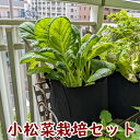 オーガニック栽培セットS 小松菜 不織布プランターとオーガニックの土と有機種子で育てる栽培セット 栽培キット 野菜 家庭菜園キット 家庭菜園セット プランター菜...