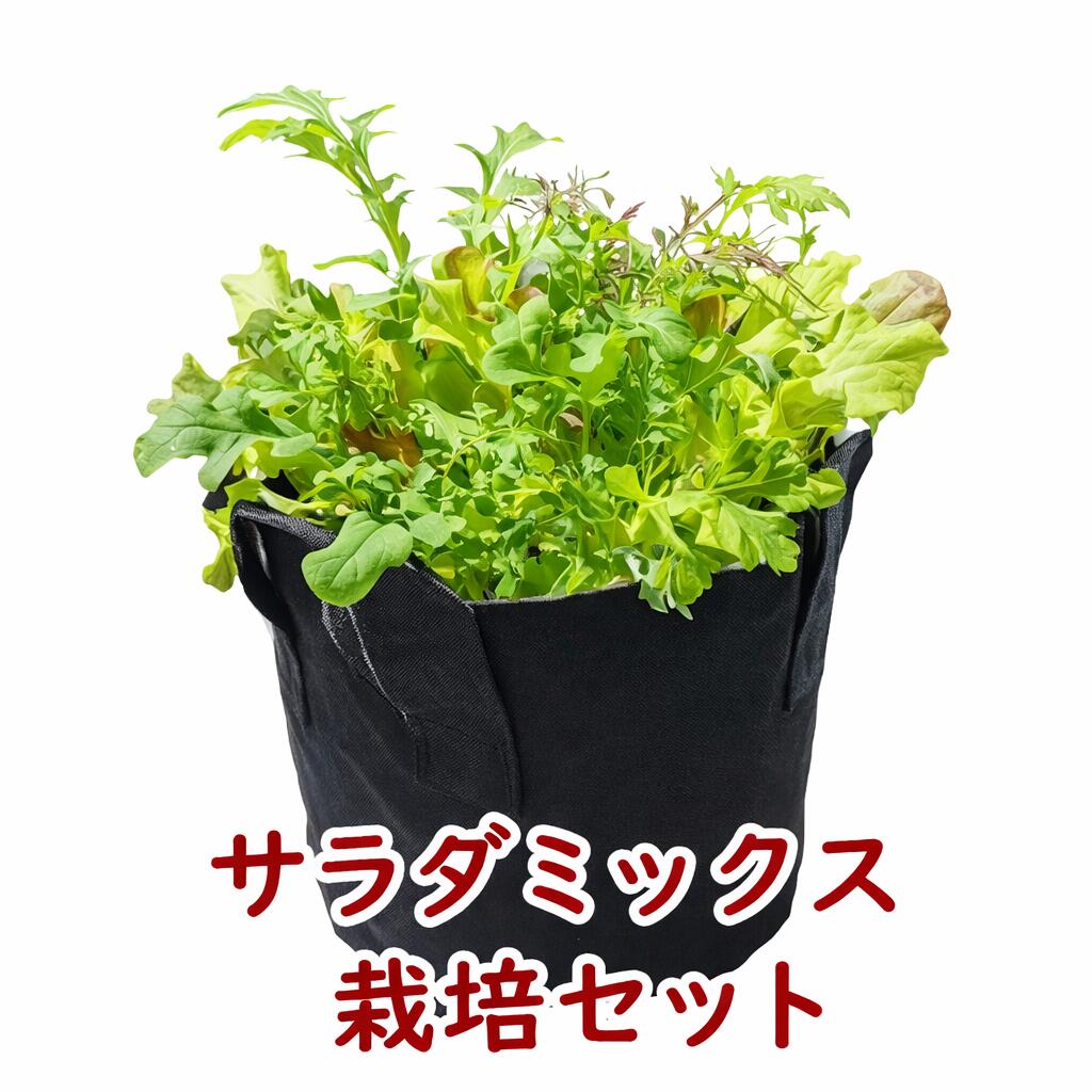 不織布プランター栽培セット サラダミックス 有機種子と不織布プランターとオーガニックの土で育てる栽培セット 栽培キット 初心者向け 野菜 家庭菜園キット 家庭菜...