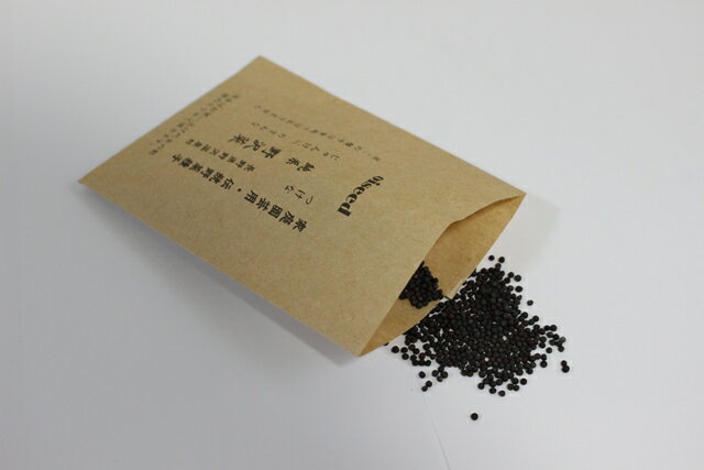 伝統野菜種子 純系野沢菜 固定種 5ml 種 長野県野沢温泉村 在来種 野沢菜 のざわな つけな 野菜 追跡可能メール便選択可【小袋】【2026年6月期限】