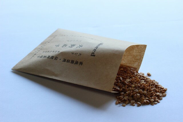 伝統野菜種子 天狗茄子 固定種 0.25ml 愛知県北設楽郡 種 在来種 茄子 ナス なす 野菜 追跡可能メール便選択可【小袋】【2026年9月期限】...