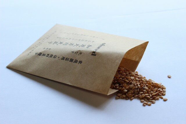 ������ڼ�� ���������ݲػ� ����� 0.25ml ������ �� ����� �ػ� �ʥ� �ʤ� ��� ���ײ�ǽ�᡼��������ġھ��ޡۡ�2026ǯ10����¡�