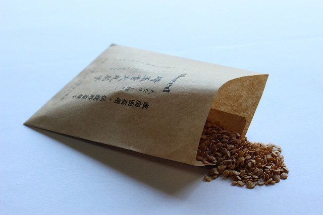 Rakuten - 伝統野菜種子 埼玉青大丸茄子 固定種 0.25ml 埼玉県 種 在来種 茄子 ナス なす 野菜 追跡可能メール便選択可【小袋】【2026年10月期限】