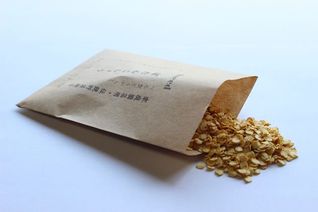 Rakuten - 伝統野菜種子 ぼたんこしょう とうがらし 固定種 0.5ml 長野県 種 在来種 とうがらし 野菜 追跡可能メール便選択可【小袋】【2026年12月期限】