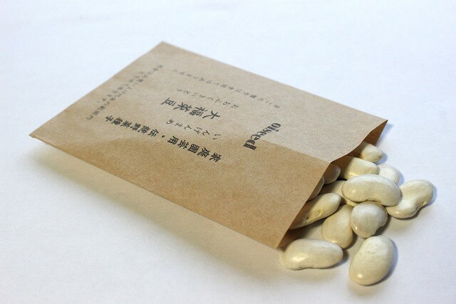 Rakuten - 伝統野菜種子 大福菜豆 いんげんまめ 固定種 20ml 種 在来種 いんげんまめ 野菜 追跡可能メール便選択可【小袋】【2026年12月期限】
