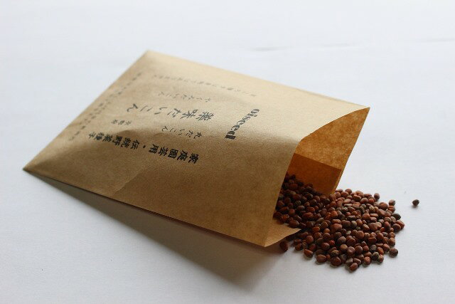 Rakuten - 伝統野菜種子 薬味だいこん 固定種 3ml 京都府 種 在来種 だいこん ダイコン 野菜 追跡可能メール便選択可【小袋】【2026年10月期限】