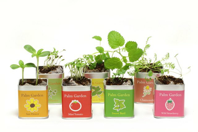 �����ʺ��ݥ��å� �Х��� �ѡ��६���ǥ� �ߥ˥��å���ڱ७�å� �Х�����ݥ��å� �ϡ��ֺ��ݥ��å� �����ڱ� ��ں��� ���å�