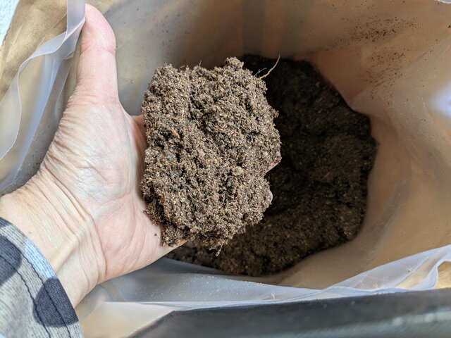 有機培養土 20L 1～2袋セット THEO ジオ 有機JAS資材認証 OMJ認証資材 有機JAS オ...
