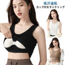 レディース 育乳 リブ コットン 綿 カップ付き ストレッチ タンクトップ カップ付き 締め付けない ノンワイヤー 吸汗速乾 肌着 インナー(4)