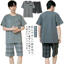 綿 セットアップ メンズ ルームウェア 部屋着 半袖 男性用 Tシャツ 夏 上下セット コットン 薄手 ゆったり ナイトウェア 春 半ズボン 短パン 大きいサイズ パジャマ 寝巻き 寝間着 紳士パジャマ リラックスウェア ギフト プレゼント|詳細画像