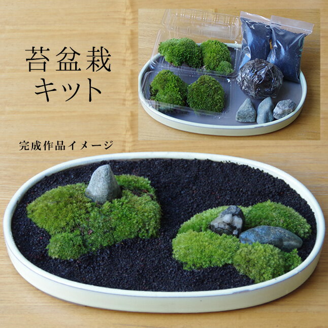 父の日 盆栽苔が主役の苔盆栽 材料すべてお届けします 苔盆栽 こけぼんさい キット〜富士砂苔 こけ コケ ぼんさい