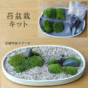 盆栽苔が主役の苔盆栽!材料すべてお届けします 苔盆栽(こけぼんさい)キット〜矢作砂 苔 こけ コケ コケダマ