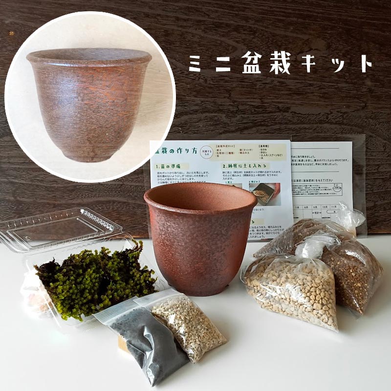 父の日 盆栽キット 植え替え用材料 盆栽キット 万古焼 （朱深丸鉢） 盆栽の作り方つき 盆栽の育て方 ...