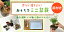 すぐ作れる 苗付き盆栽キット 【シマトネリコ】の盆栽キット 材料 しまとねりこ 自然(くらま岩風鉢) 盆栽の作り方つき 盆栽の育て方つき お手入れ相談 電話 メールサポート 硬質赤玉土 桐生砂 盆栽の土 ヤマゴケ 苔 こけ コケ ボンサイ ぼんさい しまとねりこ