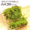 母の日 苔玉作りや張り替えに ハイゴケパック