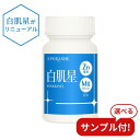 亜鉛・マグネシウム配合サプリ|エポラーシェ 白肌星Mg トルラ酵母エキス&ビタミンB6・葉酸で美と健康を支える【限定プレゼント付き】 エポラーシェ トリプルサン