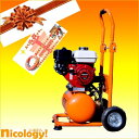 nicology ŷԾŹ㤨ˡ͸꾦 󥸥 ץå ۥ󥸥 GX160 SPECIALȥå ϰ̵   פβǤʤ218,405ߤˤʤޤ