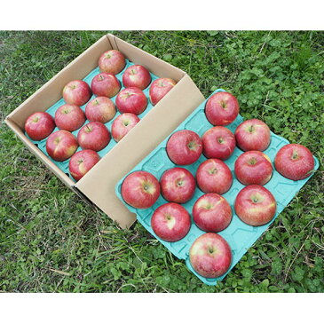 サンふじ りんご 約10kg(24〜32個) さんふじ リンゴ 蜜入り 長野県 信州 家庭用 贈答用 贈り物 ギフト プレゼント