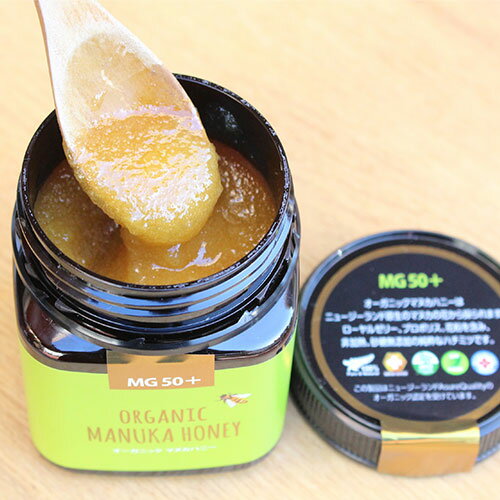 �ޥå����ϥˡ����������˥å� �ޥ̥��ϥˡ� MG50+ 250g���˥塼�������� ���ꥹ�ޥ��ץ쥼���