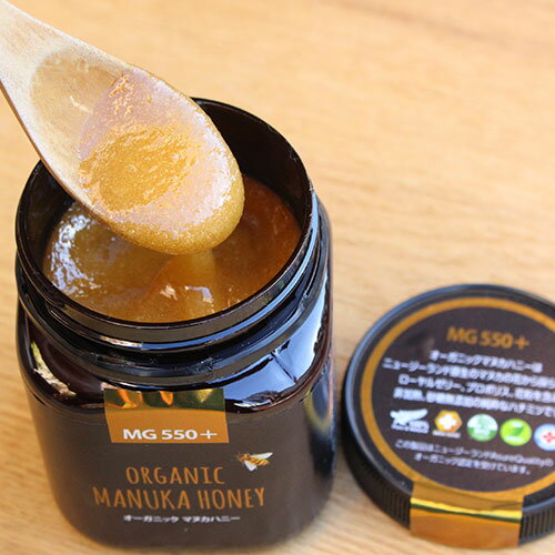 �ޥå����ϥˡ����������˥å� �ޥ̥��ϥˡ� MG550+ 250g���˥塼�������� ���ꥹ�ޥ��ץ쥼���