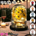 枯れない花 バラ プレゼント 敬老の日 造花 バラ 薔薇 向日葵 ひまわり 石鹸の花 フラワーギフト ソープフラワー 花 花束 母の日 LEDライト付き 電池式...