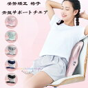 【送料無料 】骨盤サポートチェア 姿勢補正シート 子供用 大人用 骨盤矯正 椅子 座るだけ腰が痛くならないクッション オフィスチェア/ゲームチェア/床/椅子 クッション 腰痛 軽量 かわいい 腰痛改善グッズ 猫背予防 肩凝対策 美尻 ピンク グリーン グレー ブルー ブラック(4)
