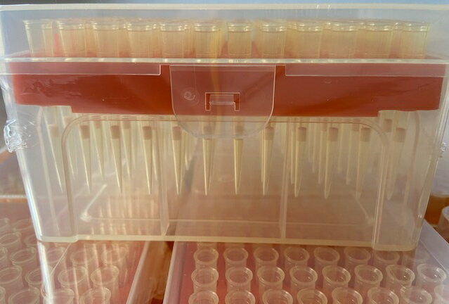 理化学　PCR　検査　検査所向け　BIOBASE　20μL　20マイクロリットル　ピペット チップ　96本×10ラック×5セット　Sterile Filtered Pipette Tips ボックスパック　2021年製