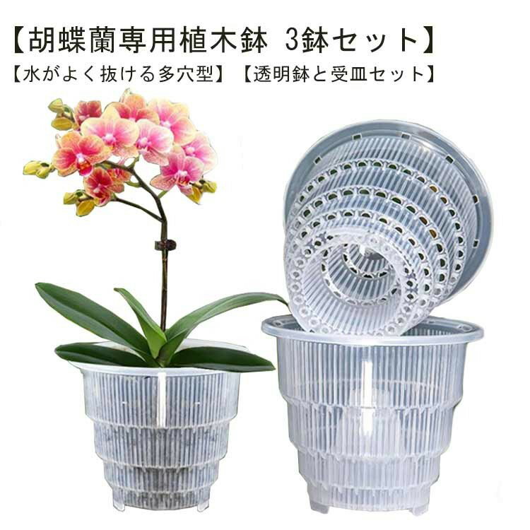 胡蝶蘭専用 植木鉢 3鉢セット 胡蝶蘭の植え替え 鉢 受皿付き 多穴型 通気性抜群 根腐れ防止 直径12cm 直径15cm 排水穴付き プラスチック おしゃれ 蘭の鉢 観葉植物の鉢 透明 クリア 根が