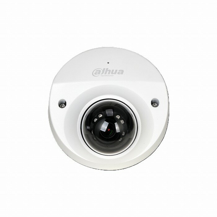 Dahua �����ե� ���ȥ���� 4MP �����å��ɡ��෿ ���������� �ޥ�����¢ IR30m �� DH-IPC-HDBW2431FN-AS-S2 Security Camera