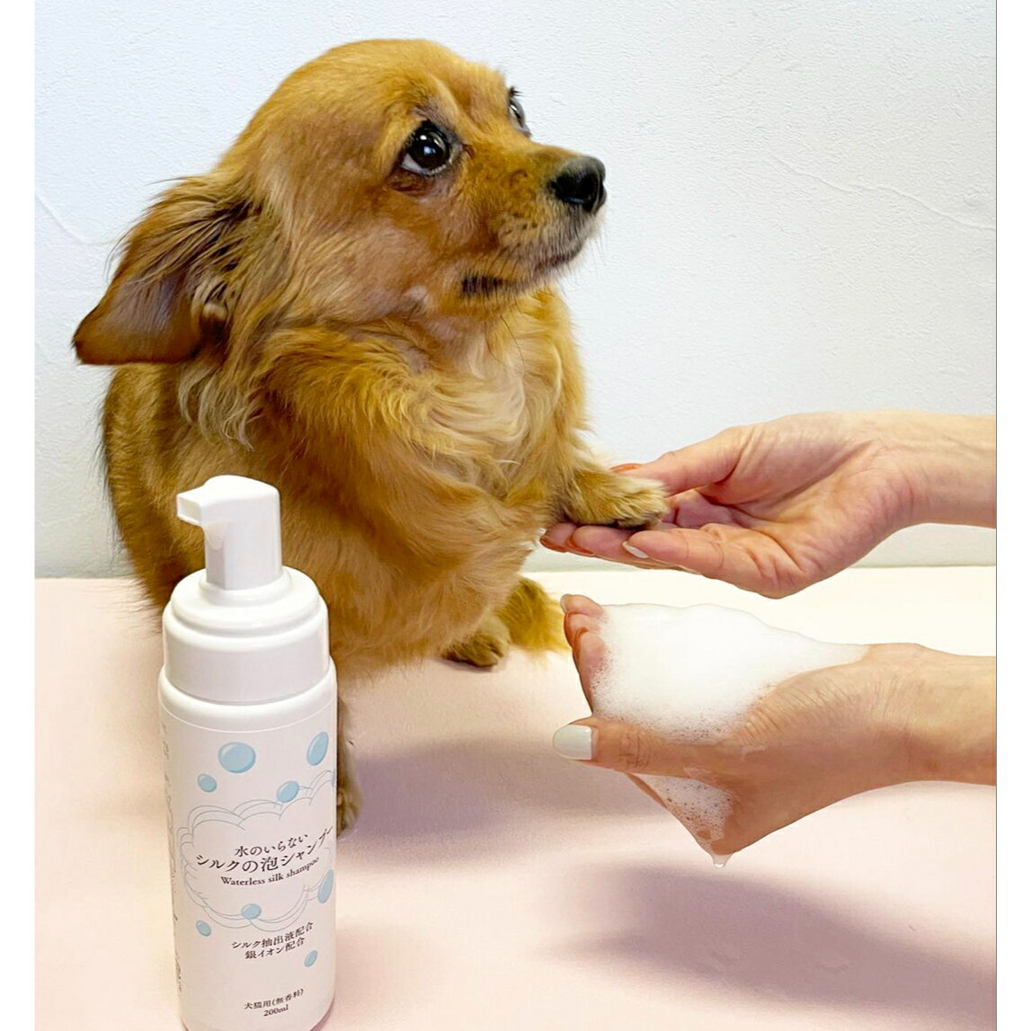 ペット用ドライシャンプー シルク配合 泡タイプ 200ml 洗い流し不要 犬猫兼用 簡単泡シャンプー