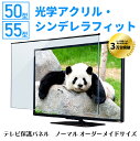 【大型】 テレビ保護パネル ノーマル オーダーメイドサイズ 50型 55型 オーダーメイド テレビガード テレビカバー テレビ保護パネル 液晶保護パネル 1mm単位 フリーカット ぴったり 国産 自社生産 クリアパネル 破損防止 安全設計 ペット 子供