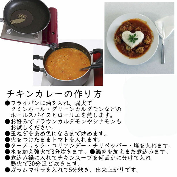 チリパウダー【 スタンダード 】 パウダー 20g カレースパイス 唐辛子粉末 3