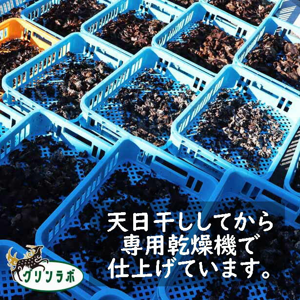 乾燥きくらげ キクラゲ 木耳 スライス10g6袋 和歌山産 根来寺へ行く坂の途中にある グリンラボ では　キクラゲを菌床栽培で育てています。空気のきれいな場所で、徹底的に掃除をして衛生に気をつけて　オーガニック栽培しています。 3