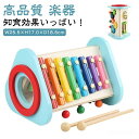 鉄琴 おもちゃ 森の音楽会 ティンクルシンフォニー エドインター 名入れ 出産祝い 木のおもちゃ 楽器 知育玩具 誕生日 子供 赤ちゃん 1歳 2歳 男の子 女...