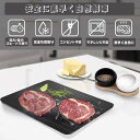 解凍プレート 業務用 まな板 急速解凍 解凍板 解凍ツール 粗熱 正規品 肉 ホタテ 解凍まな板 自然解凍プレート冷凍食品 業務用家庭用 急速 食品解凍 肉 刺身 クリスマスプレゼント お祝いギフト 省エネ 電気不要 急速解凍プレート アルミ合金 熱を加えず 冷凍食品対応