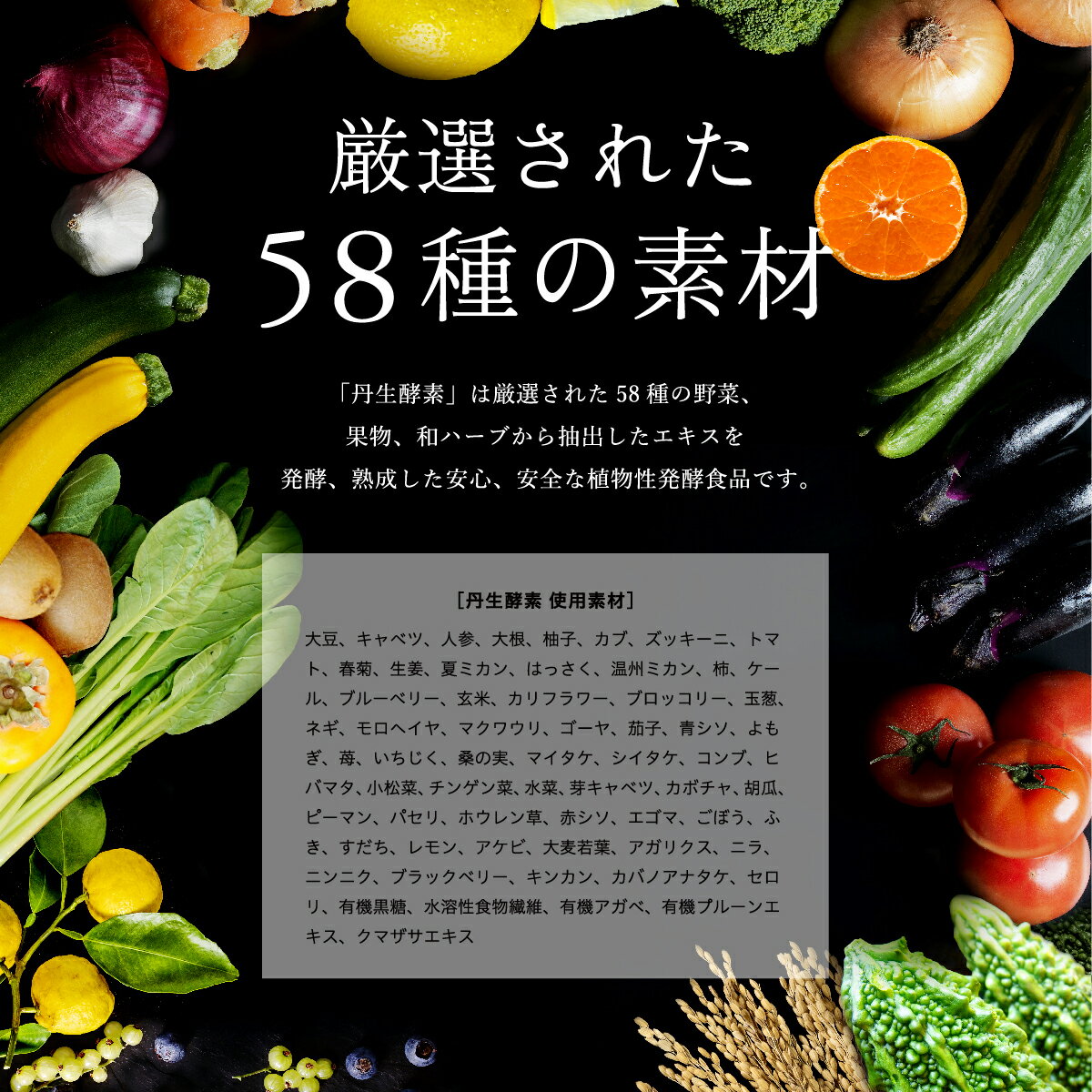 酵素ペースト [初回限定お試し価格・送料無料] 丹生酵素（植物性発酵食）nifu ダイエット ファスティング 腸活 腸内フローラ 健康 美容