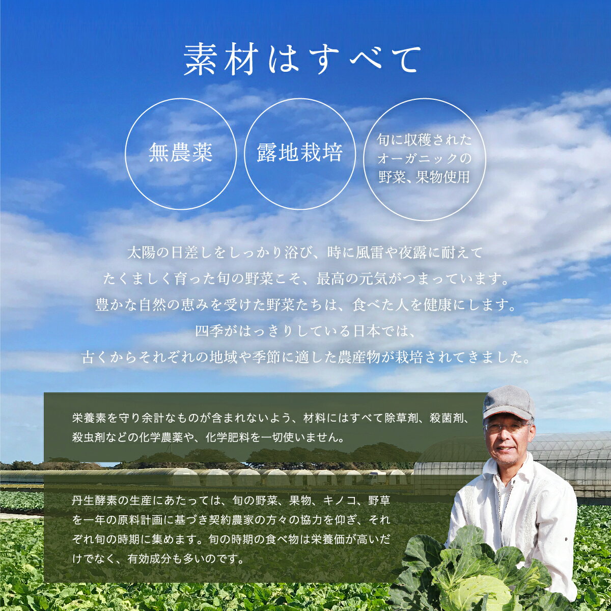 酵素ペースト [初回限定お試し価格・送料無料] 丹生酵素（植物性発酵食）nifu ダイエット ファスティング 腸活 腸内フローラ 健康 美容