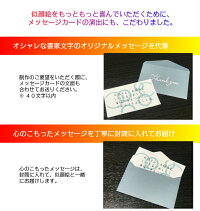 楽天市場 似顔絵 プレゼント 送料無料 白寿祝い 卒寿祝い 百寿祝い イラストタッチ 還暦 米寿 古希 喜寿 傘寿 百寿 卒寿 写真 父 母 両親 祖父 祖母 おじいちゃん おばあちゃん お父さん お母さん 長壽 色紙 ポエム 長寿祝いに世界で1枚だけの似顔絵 似顔絵専門店