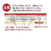 似顔絵クイック傘寿・米寿祝い【プレゼント】【ギフト】【色紙サイズ】【両親】ぶんころ色紙サイズB4サイズA3サイズ長寿記念家族結婚祝い快気祝い誕生日結婚退職