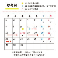 似顔絵クイック傘寿・米寿祝い【プレゼント】【ギフト】【色紙サイズ】【両親】ぶんころ色紙サイズB4サイズA3サイズ長寿記念家族結婚祝い快気祝い誕生日結婚退職