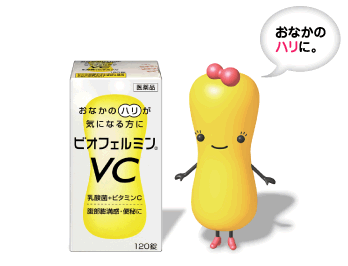 ビオフェルミンVCビオフェルミンVC　120錠