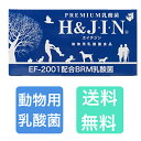 エイチアンドジン 動物用乳酸菌食品 1g×90包【送料無料】 H&JIN 免疫力 アップ 乳酸菌 老化防止 肥満防止 血統調整 毛艶 健康な肌 免疫力アップ イヌリン ビタミンC フラクトオリゴ糖 水溶性食物繊維 GMP認証あり 動物用 乳酸菌 エイチジン