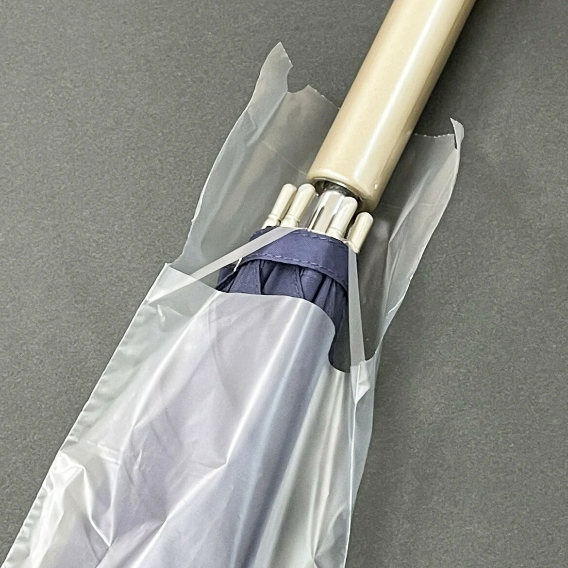 ���ݤ� Ĺ�����Ѥ����� 400�� ���ݤ����Ѥ��ɲ��Ѥ����ޡ����� 603799