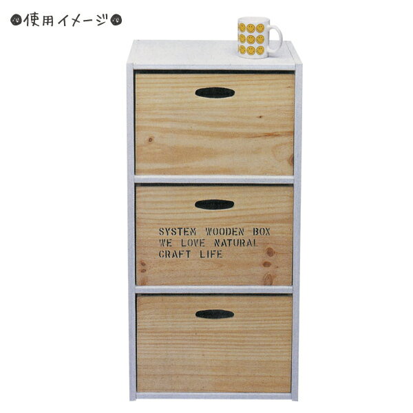 カラーボックス専用インナーBOX（片面のみ文字入り）（無塗装） #50014 シンプルな深め木製ボックス 持ち手穴付き 要法人名 【キャンセル不可】木製 ハンドメイド 手作り 木 ナチュラル 陳列