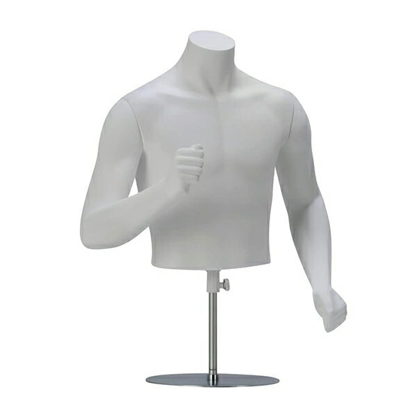 スポーツトルソ 紳士 MBZT13W-A43-72 卓上型 うで付 【キャンセル不可】